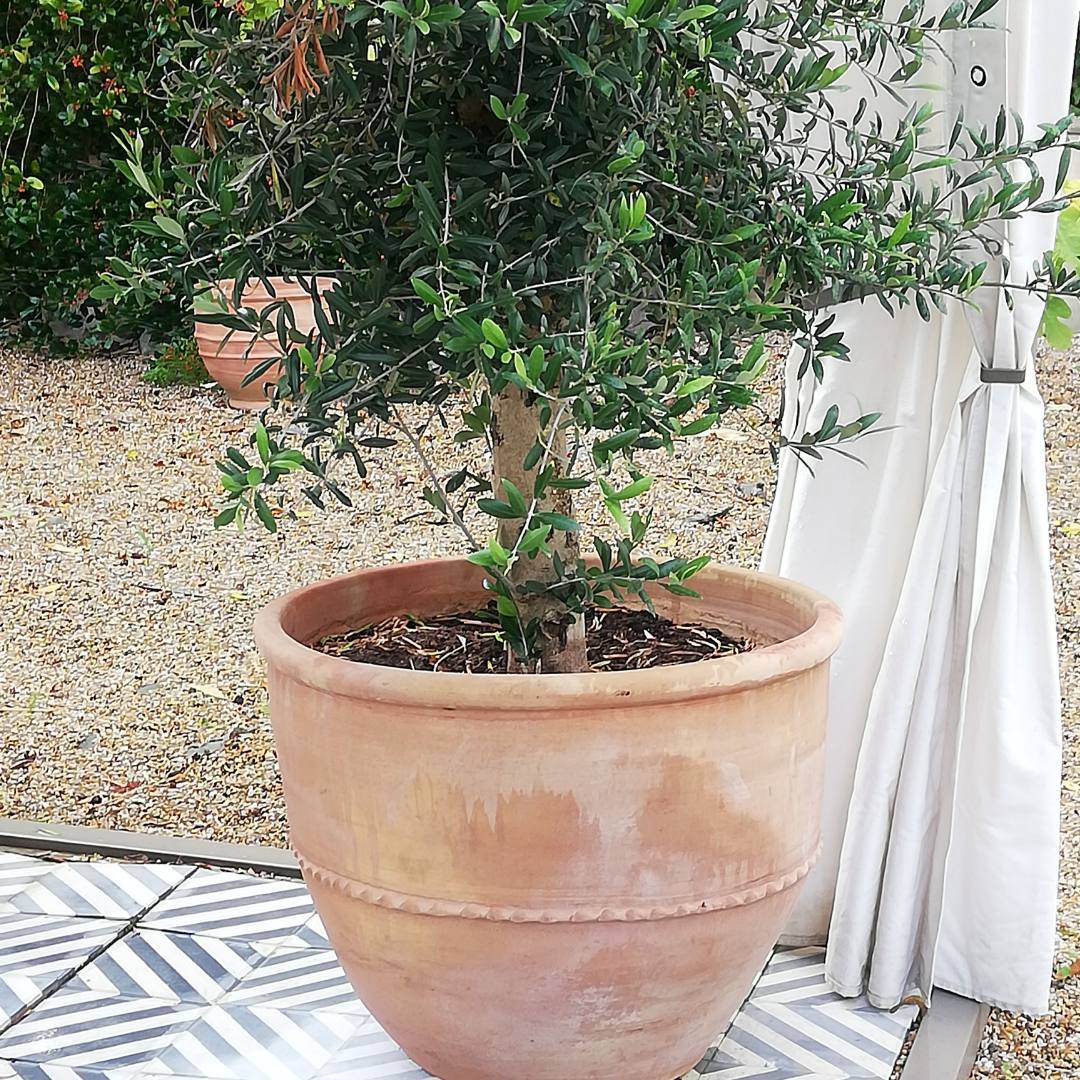 Villa Livsstil | Plantekrukker, fremstillet i hånden - Villa Krukker er middelhavskrukker direkte fra pottemageren