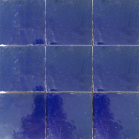 Zel44-10x10